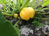 Bild 015.webp