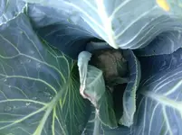 Bild 009.webp