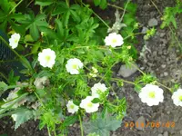 august01 001.webp