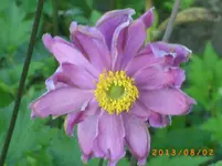 august03 004.webp