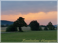 Sonnenaufgang (2).webp