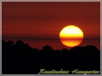 Sonnenaufgang (7).webp