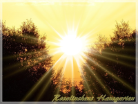 Sonnenaufgang (10).webp