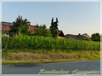 Weingarten.webp