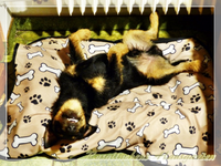 Branko relaxed (2).webp