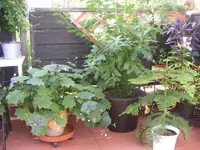 Terrasse1.webp