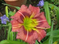 250.2_1024x768.webp