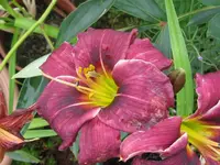 anja 22_1024x768.webp