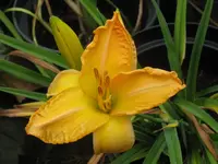 weather proof1_1024x768.webp