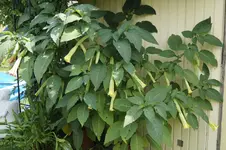 _DSC2923.webp