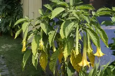 _DSC2925.webp