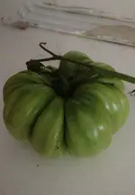 roter Kürbis.webp