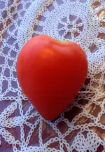Tomatenherz.webp