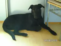 Anka (2).webp