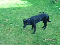 Anka (3).webp