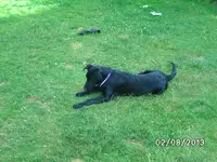 Anka (4).webp
