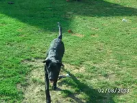 Anka (5).webp