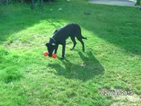 Anka (6).webp