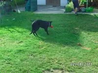 Anka (7).webp