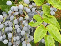 057.webp