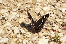 2013_0730Sommer0045.webp
