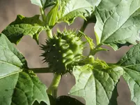 DSCF3153.webp