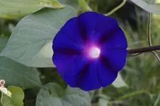 _DSC2926.webp