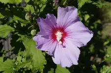 _DSC2937.webp