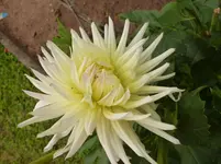P1080200.webp