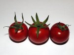 cocktailtomate-matinchen.JPG