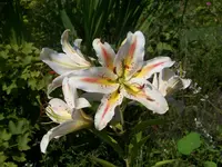 018.webp