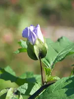 023.webp