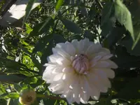 HPIM9929.webp