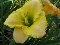 IMG_touch me light2_1024x768.webp