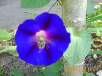 august04 004.webp