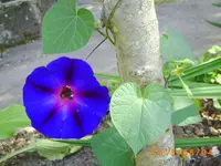 august04 005.webp