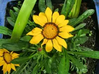 CIMG4533.webp
