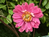 CIMG4543.webp