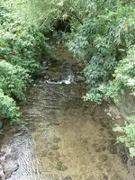 CIMG4545.webp