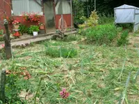 CIMG4583.webp