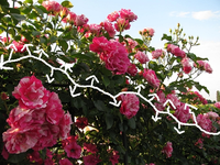 quere Biegungen.webp