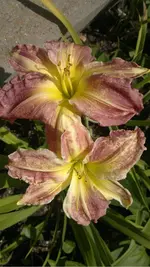 030820131813.webp