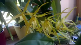300720131808.webp
