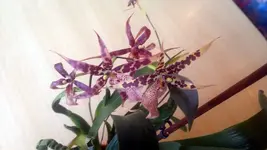 300720131810.webp