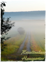 05.08 (21).webp