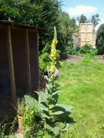 IMG-20130805-WA0001.webp