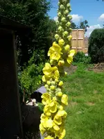 IMG-20130805-WA0002.webp