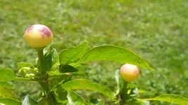 IMG_00000454.webp