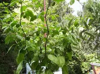 050813-2.webp