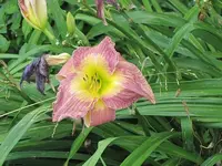 025.webp